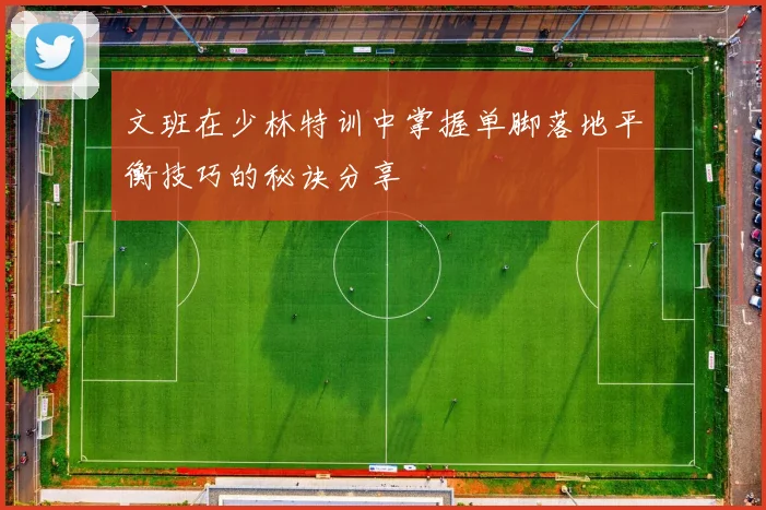 文班在少林特训中掌握单脚落地平衡技巧的秘诀分享